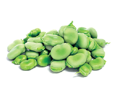 Peeled Broad Beans