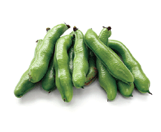 Green Broad Beans