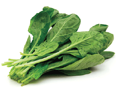 Spinach Leaves