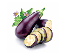 Eggplant